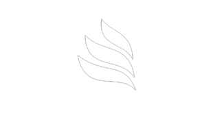 Wise Comunicação